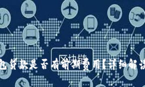 數字錢(qián)包貸款是否有前期費用？詳細解讀與分析