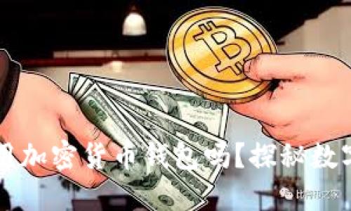 國內可以使用加密貨幣錢(qián)包嗎？探秘數字資產(chǎn)的未來(lái)