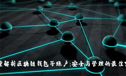 深度解析區塊鏈錢(qián)包子賬戶(hù):安全與管理的最佳實(shí)踐