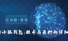 CORE小狐錢(qián)包：提幣與質(zhì)押