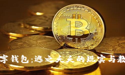 數字錢(qián)包:逃之夭夭的現實(shí)與教訓