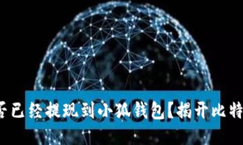 : 中本聰是否已經(jīng)提現到小狐錢(qián)包？揭開(kāi)比特幣神秘面紗！