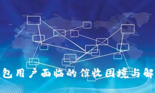 數字錢(qián)包用戶(hù)面臨的催收困境與解決方案