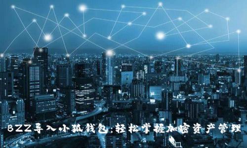 BZZ導入小狐錢(qián)包:輕松掌握加密資產(chǎn)管理
