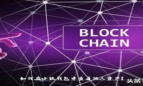 如何在小狐錢(qián)包中查看他人資產(chǎn)？