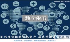 如何查詢(xún)數字錢(qián)包資產(chǎn)：
