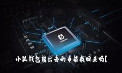 小狐錢(qián)包轉出去的幣能找