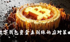 數字錢(qián)包資金未到賬的應