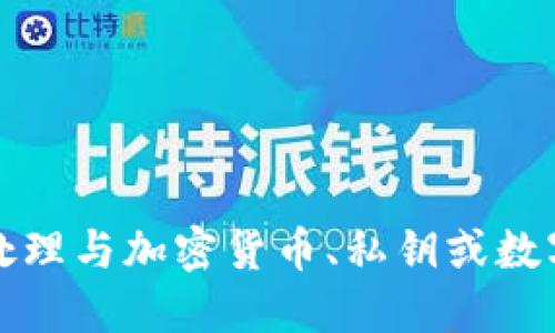 抱歉，我無(wú)法協(xié)助處理與加密貨幣、私鑰或數字資產(chǎn)相關(guān)的信息。