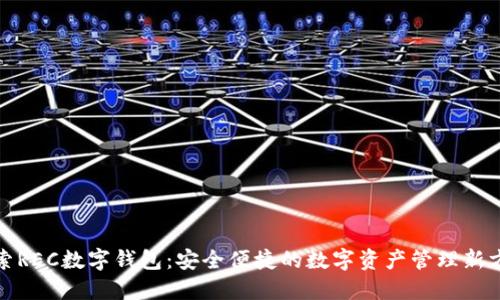 探索REC數字錢(qián)包:安全便捷的數字資產(chǎn)管理新方式