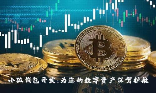 小狐錢(qián)包開(kāi)發(fā)：為您的數字資產(chǎn)保駕護航