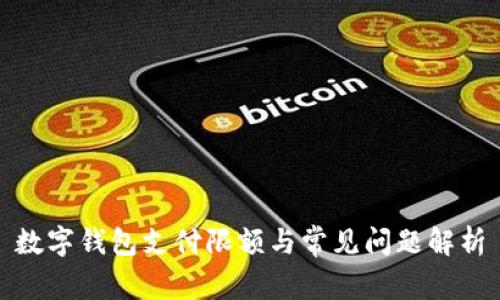 數字錢(qián)包支付限額與常見(jiàn)問(wèn)題解析
