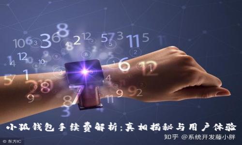 小狐錢(qián)包手續費解析:真相揭秘與用戶(hù)體驗