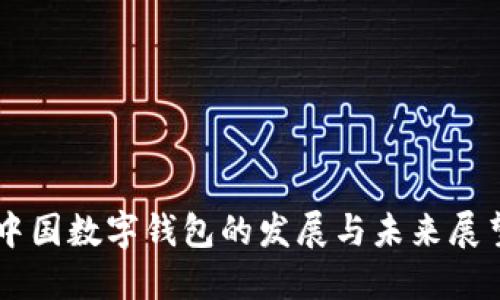 中國數字錢(qián)包的發(fā)展與未來(lái)展望