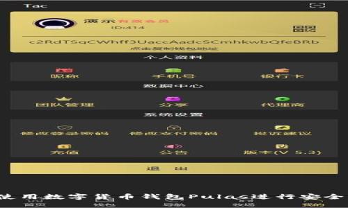 如何使用數字貨幣錢(qián)包Pulas進(jìn)行安全交易？