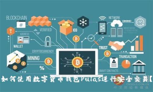 如何使用數字貨幣錢(qián)包Pulas進(jìn)行安全交易？