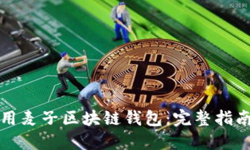如何安全使用麥子區塊鏈錢(qián)包:完整指南與實(shí)用技巧