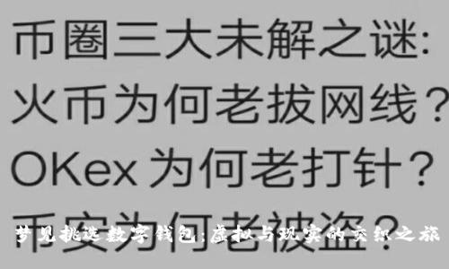 夢(mèng)見(jiàn)挑選數字錢(qián)包：虛擬與現實(shí)的交織之旅