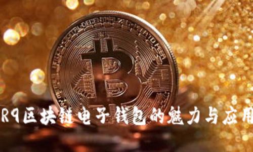 R9區塊鏈電子錢(qián)包的魅力與應用