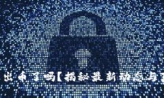 小狐錢(qián)包出幣了嗎？揭秘