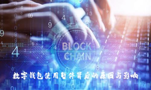 數字錢(qián)包使用暫停背后的原因與影響