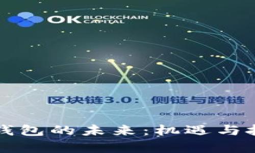 區塊鏈錢(qián)包的未來(lái):機遇與挑戰并存