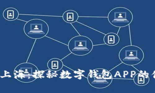 2023年上海:探秘數字錢(qián)包APP的便捷世界