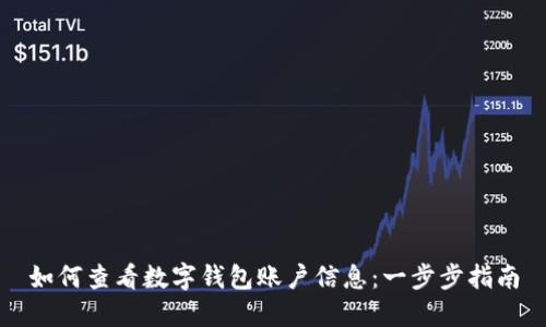 如何查看數字錢(qián)包賬戶(hù)信息:一步步指南