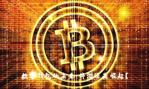 數字錢(qián)包的未來(lái)：停滯還是崛起？