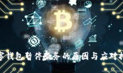數字錢(qián)包暫停服務(wù)的原因
