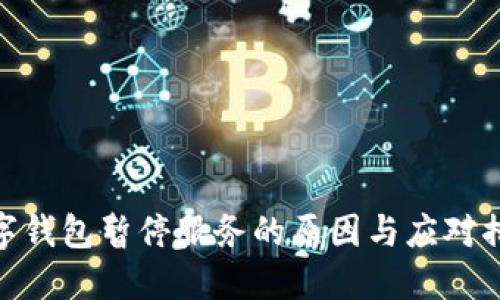 數字錢(qián)包暫停服務(wù)的原因與應對措施