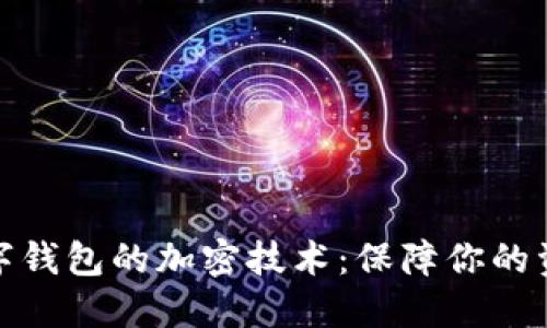 揭秘數字錢(qián)包的加密技術(shù):保障你的資產(chǎn)安全