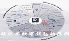 盒馬鮮生不能使用數字錢(qián)