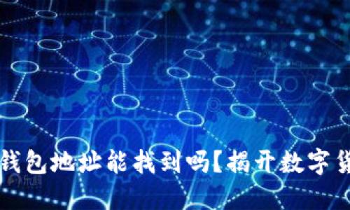 區塊鏈的錢(qián)包地址能找到嗎？揭開(kāi)數字貨幣的秘密