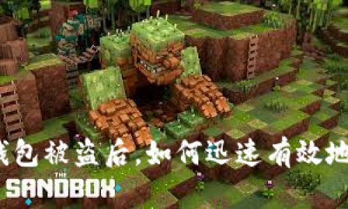 小狐錢包被盜后，如何迅速有效地處理？
