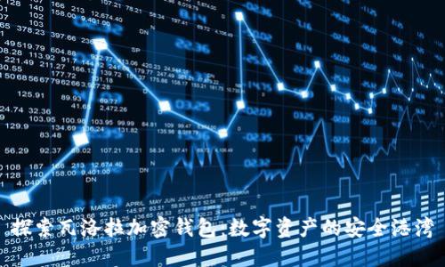 探索瓦洛拉加密錢(qián)包：數字資產(chǎn)的安全港灣