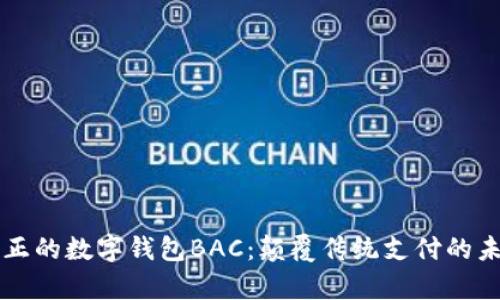 真正的數字錢(qián)包BAC:顛覆傳統支付的未來(lái)