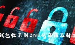 小狐錢(qián)包收不到BNB的原因