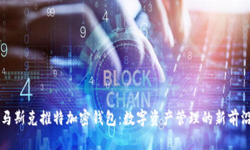 馬斯克推特加密錢(qián)包:數字資產(chǎn)管理的新前沿