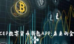 了解DCEP數(shù)字貨幣錢包APP：