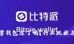 315后數(shù)字錢包涼了嗎？行