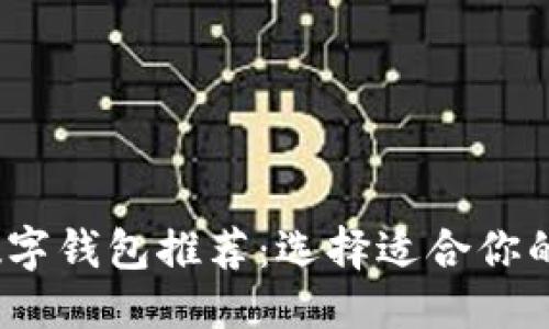 優(yōu)質(zhì)
2023年最佳數(shù)字錢包推薦：選擇適合你的安全便捷方案