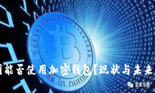 中國(guó)能否使用加密錢包？現(xiàn)狀與未來(lái)分析