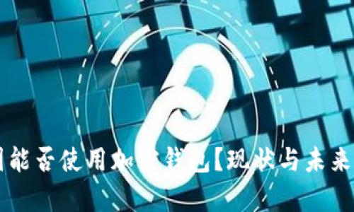 中國(guó)能否使用加密錢包？現(xiàn)狀與未來(lái)分析