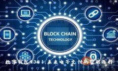 數(shù)字錢包9381：未來電子支