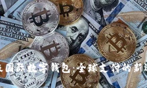 超級國際數(shù)字錢包：全球支付的新選擇