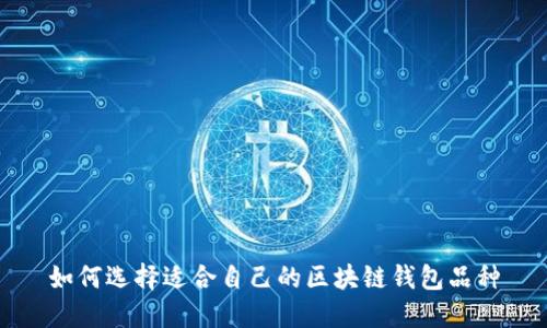 如何選擇適合自己的區(qū)塊鏈錢包品種