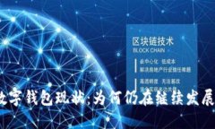 數(shù)字錢包現(xiàn)狀：為何仍在