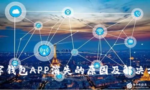 數(shù)字錢包APP消失的原因及解決方案