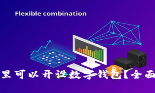 在哪里可以開設(shè)數(shù)字錢包？全面指南
